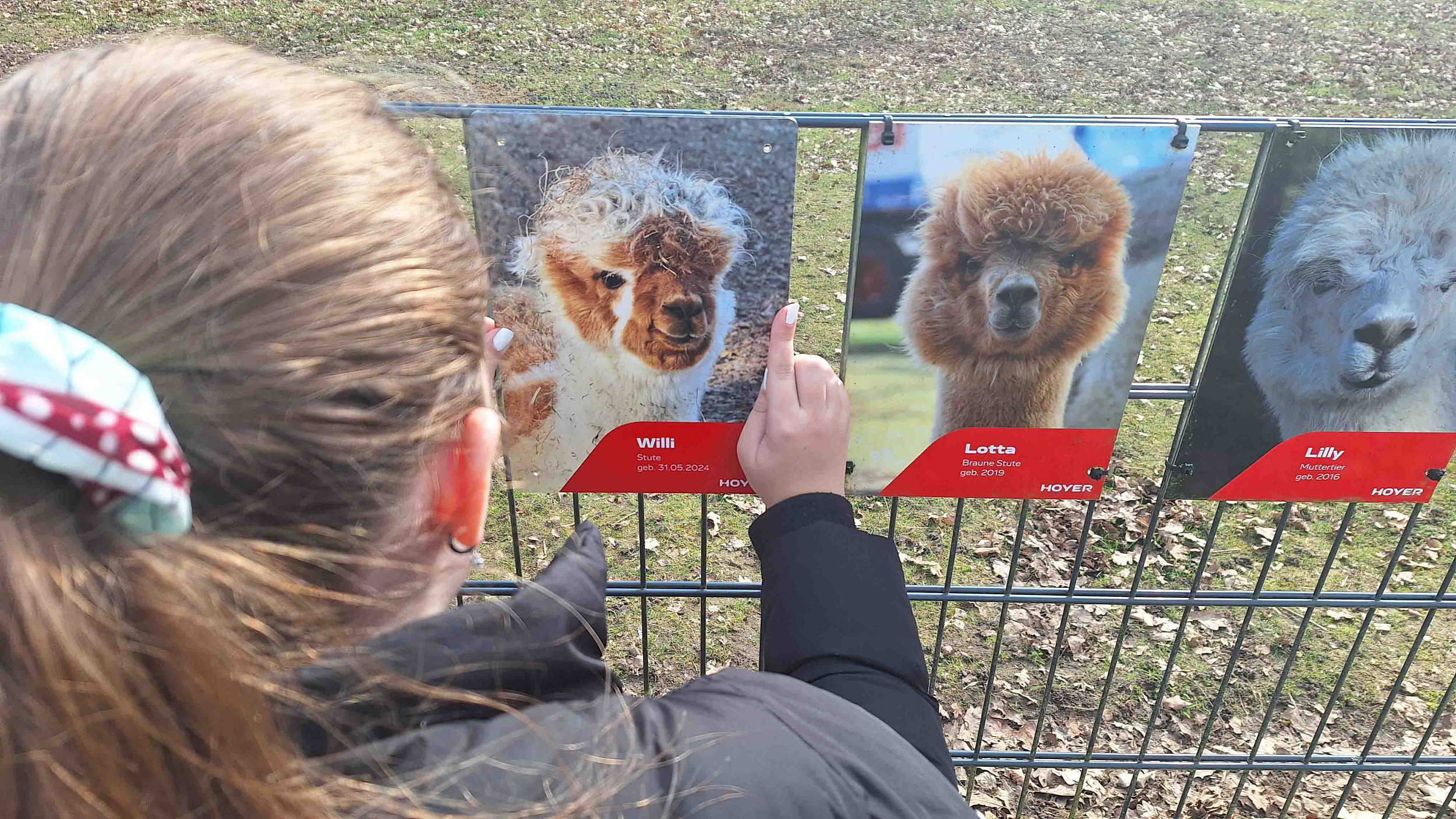 Nala absolviert Praktikum im Marketing
