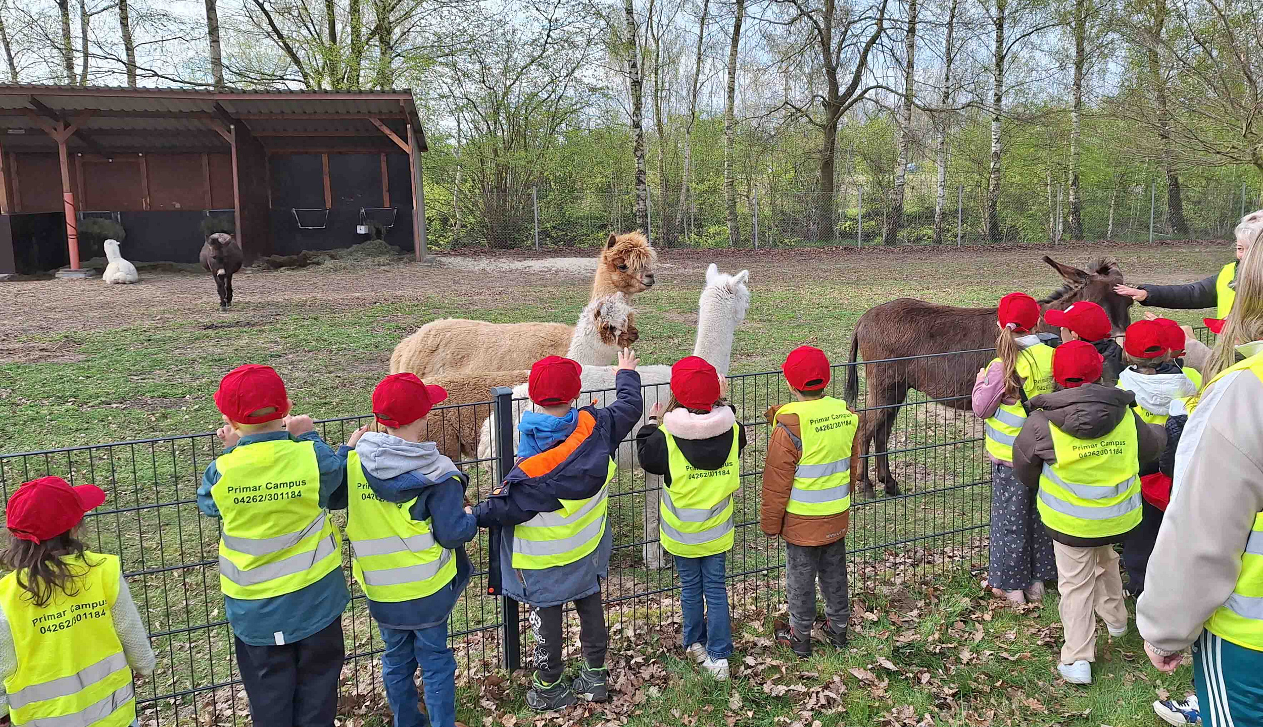 Kindergarten besucht Firmenzentrale von Hoyer in Visselhövede